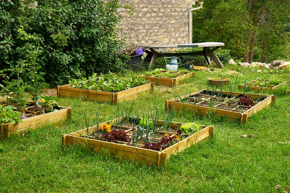 Comment faire son propre potager ? - Coté Terrasse